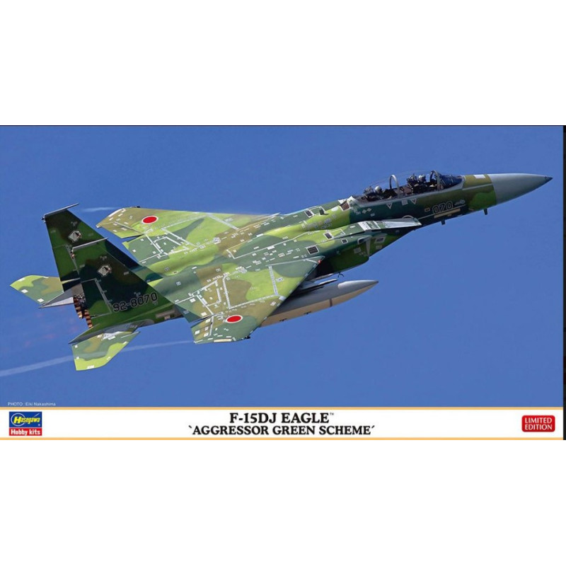 1:72 Hasegawa F 15DJ Eagle Aggressor Verde Scheme KIT