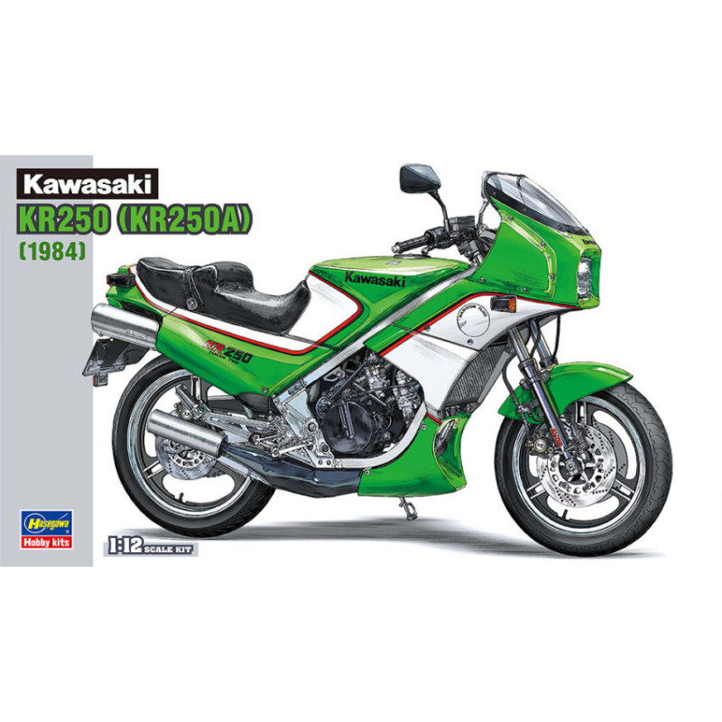 1:12 Hasegawa Kawasaki KR250 (KR250A) KIT