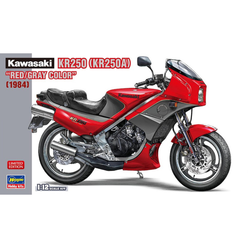 1:12 Hasegawa Kawasaki KR250 KIT