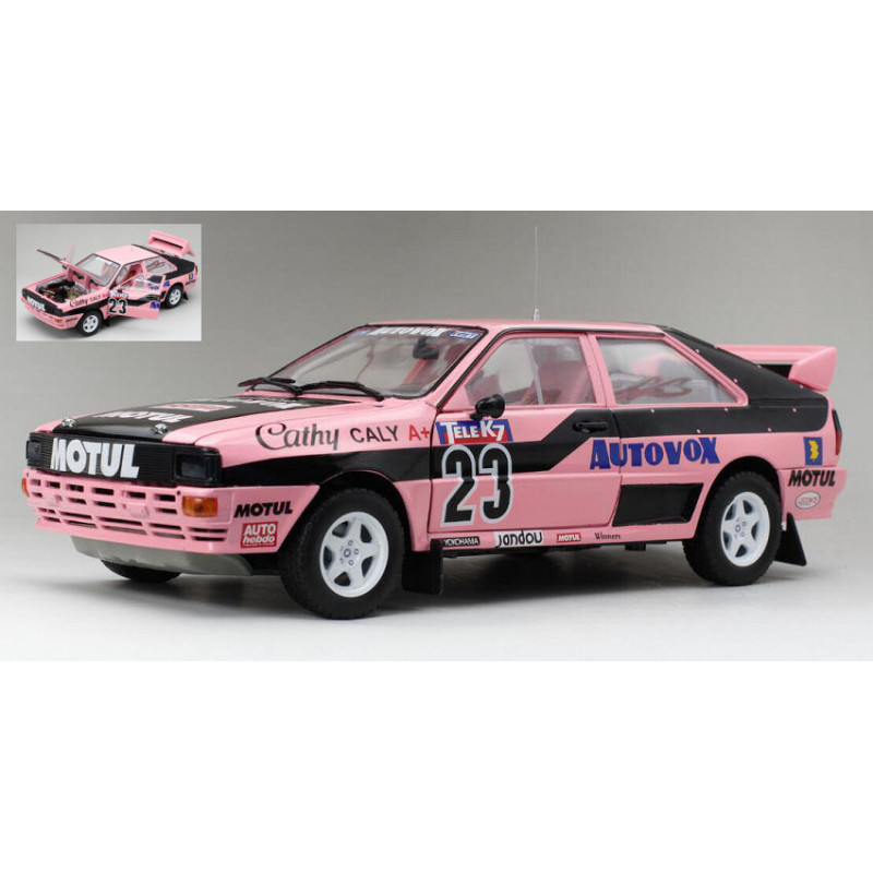 1:18 Sunstar Audi Quattro N23 French Rallycross 1987 Cathy Caly